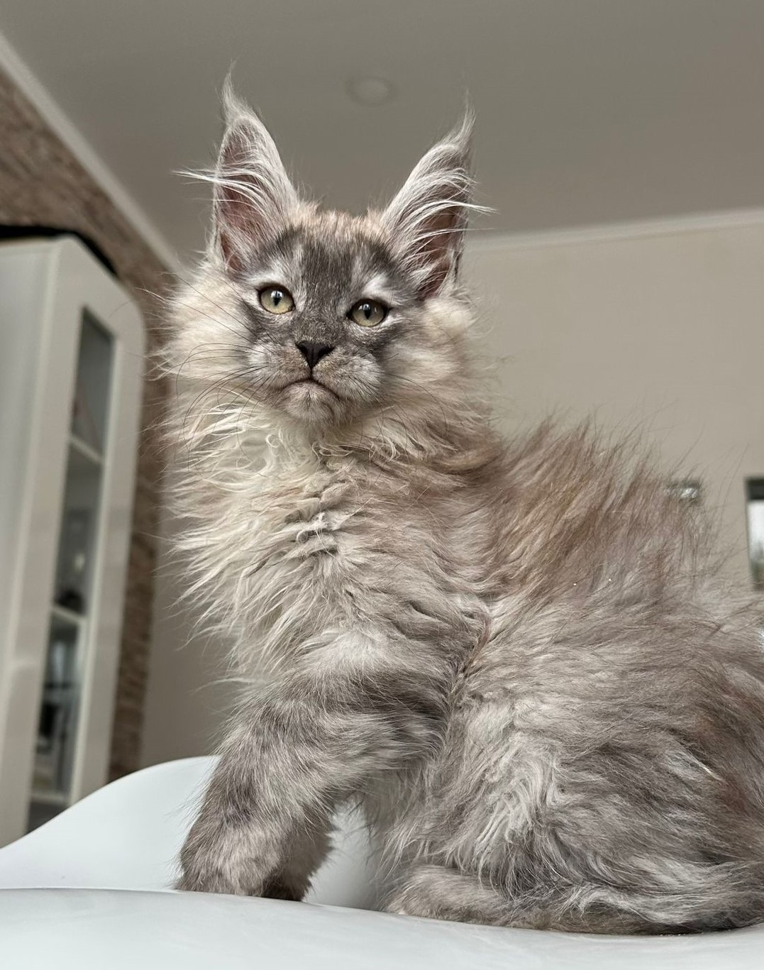 Eduardo Mysterious Goddess